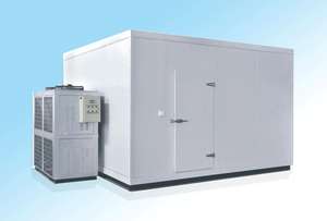 Hete Verkopende Container Walk-In Koude Opslagruimte Emerson Gear 10-100 Ton Capaciteit Voor Vlees Visgroenten Frisheid Fruit - Product Image 5