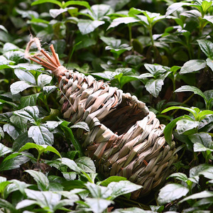 Nid d'oiseau tissé à la main en paille, forme irrégulière, ornement suspendu pour jardin, pour oiseaux, taille moyenne - Product Image 4