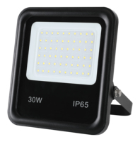 Reflectores LED de Alta Potencia para Exteriores, Resistentes al Agua y al Polvo IP65, Ángulo de Haz de 120°, para Talleres, Almacenes, Letreros Publicitarios