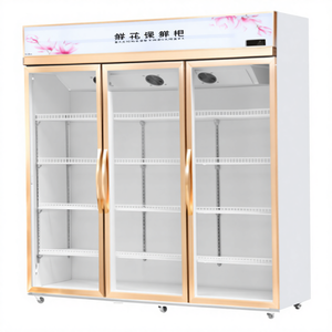 Refrigerador Profesional para Maduración en Seco <span class=keywords><strong>de</strong></span> Carne <span class=keywords><strong>de</strong></span> Res XUELE, <span class=keywords><strong>Vitrina</strong></span> <span class=keywords><strong>de</strong></span> <span class=keywords><strong>Dos</strong></span> <span class=keywords><strong>Puertas</strong></span> para Maduración, para Uso en Cocina - Product Image 2