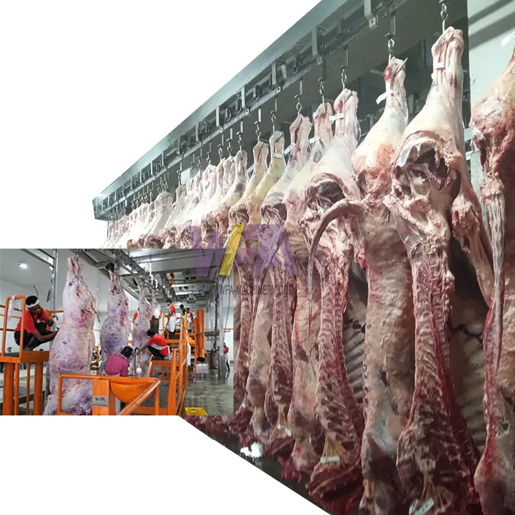 Livestock abattoir design 50 - 200 cow slaughterhouse beef meat processing line machinery for cattle slaughter butcher equipment