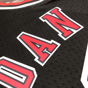 Camisetas de <span class=keywords><strong>Baloncesto</strong></span> de EE. UU. 2023-24, Uniformes de 30 Equipos, Cosidos/Termosellados, Camisetas de Alta Calidad - Product Image 2