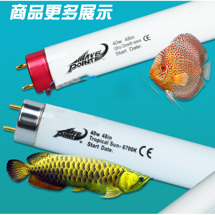 DLC CE RoHS T5 T6 LED Tube Light for Replace T5HO Fluorescent Lamp - Yiwu Jianrong Plastic Products