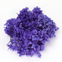 Anna Hydrangea 20g Pack Bahan Bunga DIY Hari Guru Daun Kecil Kotak Bunga Hydrangea Bunga Kering Bunga Abadi Hydrangea