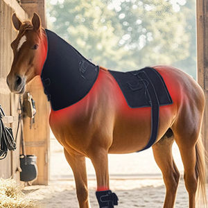Coussinets de luminothérapie rouge certifiés CE pour équitation, instruments vétérinaires, thérapie équine, appareil pour chevaux utilisé pour le cou, le dos et le ventre - Product Image 1