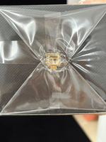 Eau de parfum unisexe fruitée, épicée, liquide, marine-boisée, florale, fraîche, longue tenue, légère