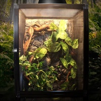 Cage pour reptiles UE personnalisée et durable, terrarium pour serpent et caméléon en alliage d'aluminium avec lampe UVB, boîte détachable pour reptiles vivants