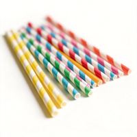 Pailles à jus jetables en pulpe de bambou VVG Custom 140/197/210/240 mm, 100 % compostables et biodégradables, 250 pièces/boîte