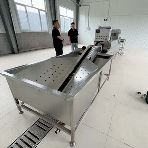 Tout nouveau prix poulet propre ligne caille coquille laveuse brosse nettoyant automatique oeuf lavage Machine de haute qualité - Product Image 2