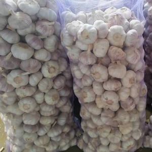 Ajo Blanco Fresco de 4.5-7.0cm con Calidad Premium, Proveedor Confiable de Exportación de China <span class=keywords><strong>para</strong></span> Importadores a Granel en Todo el Mundo - Product Image 2