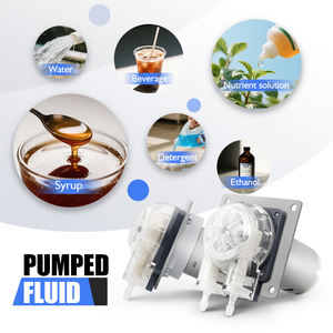 مضخة تمعجية صغيرة للمختبرات من LEFOO بمحرك تيار مستمر 12 فولت/<span class=keywords><strong>24</strong></span> فولت، بتدفق 120 مل/دقيقة، مع أنبوب سيليكون لآلات المشروبات - Product Image 6