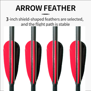 Bất Thổ Nhĩ Kỳ Lông Lai Carbon 7.8Mm Bắn Cung Mũi Tên Recurve Hợp Chất Bow Có Thể Tháo Rời Đầu Thép Cho Săn Bắn Phụ Kiện Thể Thao - Product Image 5