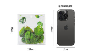 40 pcs/pack PET Sticker Pack Twenty-four Years of Dream Series Simulation Leaves Theme Handbook Valley Beauty DIY Decorative - Product Image 6