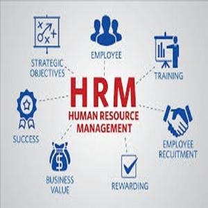 Software de Gestión de Recursos Humanos (HRMS) con Gestión de Empleados, Control de Asistencia y Automatización de Nómina - Product Image 2