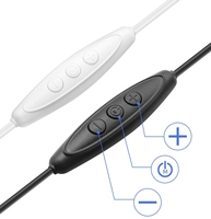 Longueur personnalisée Connecteur USB/DC/Type C Mini variateur de luminosité à 3 touches pour bande lumineuse à LED de couleur unique