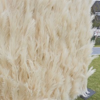 Dinding Bunga Pampas Buatan A-572, Lembut, 5D, Gulungan Rumput Pampas, Dekorasi Dinding, Latar Belakang Rumput Pampas Sutra