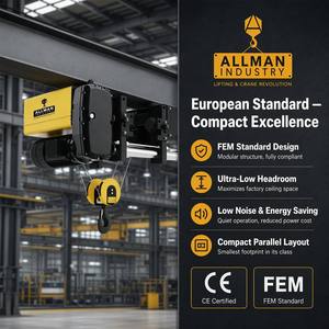 Palans électriques à câble ALLMAN 5 tonnes, monopoutre, 220V triphasé, certifiés CE, avec contacteur Schneider pour levage par grue - Product Image 2