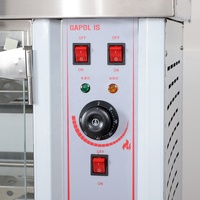 Rôtissoire Verticale Professionnelle à Gaz pour Poulet et Canard, Four de Cuisson Industriel, en Promotion