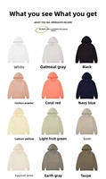 Zware 100% katoenen oversized casual unisex pullover hoodies met aangepast 3D-logo en winddichte eigenschappen