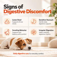 Friandises probiotiques pour chiens prêtes à l'emploi : Lactobacillus, Bacillus, Citrouille et Enzymes digestives pour une qualité normale des selles – Pot de 300g