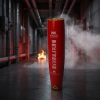 Extincteur portable mini aérosol à poudre sèche pour voiture, système de suppression d'incendie 13B 5F 3M pour la vente en gros