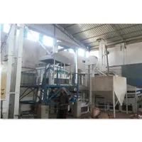 Usine de nettoyage et de tri des grains de café vert Usine de nettoyage complète du traitement des grains de café fabriquée en Chine
