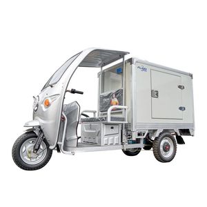 Fland Freezer Scooter électrique Tricycles électriques <span class=keywords><strong>Vélo</strong></span> cargo électrique avec mini chambre froide avec trois roues - Product Image 5