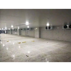 Toptan ağır soğuk oda depo palet depo rafı sistemleri bahreyn katar kuveyt birleşik arap emirlikleri umman - Product Image 3