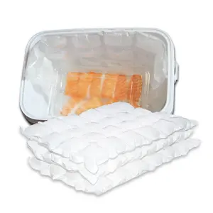 Freezer Pack Food Grade Dry Ice Pack Bags Storage Freezer Dry Ice Sheet