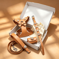 Harnais pour chien DLY en cuir souple, élégant et luxueux, personnalisé, avec boucle mignonne et ensemble de laisse, accessoires de poitrine de luxe pour animaux de compagnie