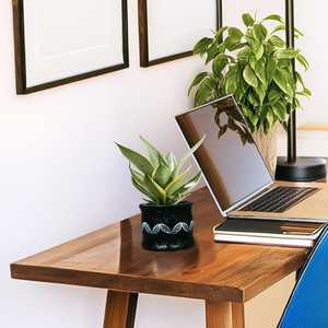 Macetero Decorativo para Mesa de Salón, Elegante Maceta para Interiores, Decoración del Hogar, Soporte para Plantas Verdes para Oficina/Escritorio, Negro - Product Image 3