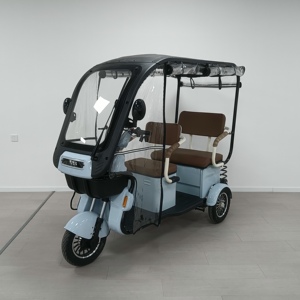Motocicleta de 3 Ruedas con Techo para Adultos, Sin Batería, Triciclo de 800w de Potencia, Gran Venta - Product Image 1