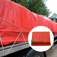 Bâche en tissu tissé HDPE en promotion, bâche en plastique PE