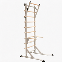 Barre de traction autonome et station de dips, barre suédoise, capacité 330 lbs, pour entraînement complet du corps à domicile