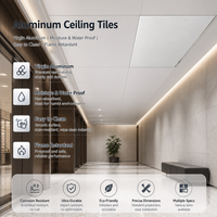 Panneaux de plafond en aluminium sur mesure, finition décorative, design moderne, faible MOQ, usage commercial