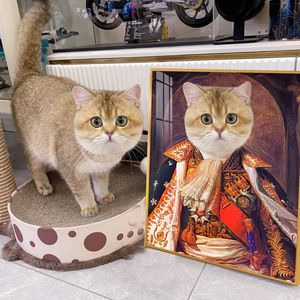 Marco de Fotos de Aleación de Aluminio con Retrato de Mascota Personalizado y Ecológico de Alipetsmile, Pintura Decorativa Artística para Mascotas, Recuerdo - Product Image 1