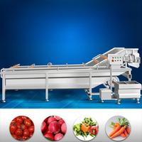 Industriële, volautomatische fruit- en groentewasmachine, droger en reiniger met aanpasbare motor, commerciële wasmachine van SUS304