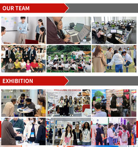 Premium Eco-Friendly hanging <strong>air</strong> freshener 3mm Natural Evaporation <strong>Pineapple</strong> Birch Ambergris Car Odor Removal Long - Product Image 6