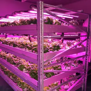 Sansi 2024 Estufa de cultivo de fazenda com luz LED para interior, barra de luz azul e vermelha, faixa de luz para cultivo de fazenda hidropônica