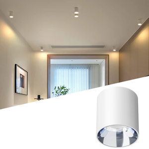 <span class=keywords><strong>Ecolux</strong></span> 12W/20W CE Plafoniera LED Dimmerabile Quadrata da Esterno con Applique Moderna e Downlight, Corpo in Alluminio - Product Image 1