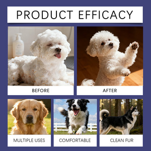 Organik Köpek Şampuanı 100ml Nazik Formül <span class=keywords><strong>Aloe</strong></span> <span class=keywords><strong>Vera</strong></span> Gliserin Hassas Ciltler İçin Temizler Besler Doğrudan Fabrikadan Toptan Tedarik - Product Image 2