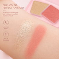Kit de maquillage portable pour femmes, poudre lissante soyeuse, blush et illuminateur personnalisés avec logo, effet lumineux, vente en gros