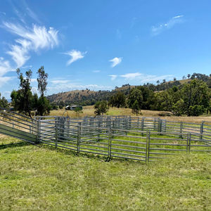 Paneles de valla de <span class=keywords><strong>corral</strong></span> de malla de alambre soldado de ganado galvanizado 3x3 cercado de perímetro temporal - Product Image 5