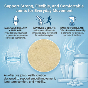 Poudre de <span class=keywords><strong>Glucosamine</strong></span> Chondroïtine de Qualité Industrielle pour le Soutien Articulaire, Matière Première en Vrac, Certificat d'Analyse (COA) Disponible - Product Image 3