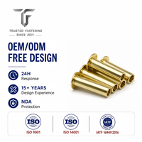 Rivets semi-tubulaires à tête plate en titane de TianFang pour supports de loquets de porte, production en volume, outillage personnalisé et approvisionnement en gros