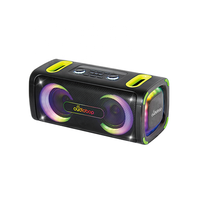 Enceinte Karaoké Portable Woofer avec Lumière de Fête RGB, Stéréo 7.4V 4000mAh, Télécommande, Câble Type-C, Bluetooth, USB, TF, FM pour Extérieur et Fêtes à Domicile