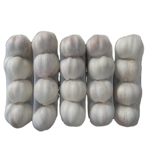 用传统方法种植的新鲜白蒜有机40英尺容器 - Product Image 1