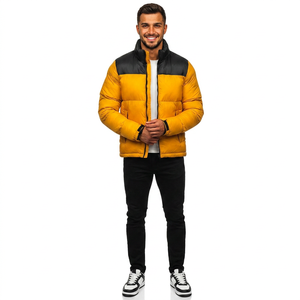 Nouvelle conception, veste d'hiver matelassée simple, couleur unie, personnalisable, imperméable, col montant, logo sur le devant, pour hommes, service OEM - Product Image 1