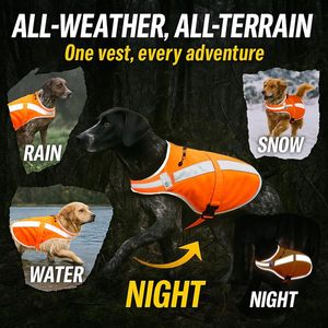 Chaleco Reflectante para Perros de Caza, Color Naranja Llama, Alta Visibilidad, con Campana Desmontable y Ajustable - Product Image 6