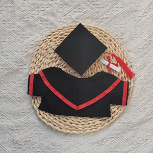 Peluche Laurea 2025 Mini Toga con Diploma in Morbido Cotone PP Personalizzabile con Logo <span class=keywords><strong>per</strong></span> Studenti - Product Image 2
